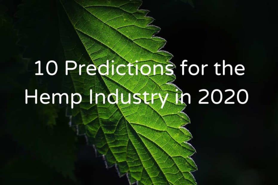 10 Predictions for the Hemp Industry in 2020