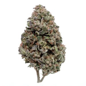 Akira Botanicals Time Trip THCa Flower