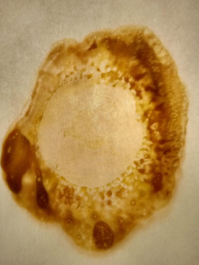 Image #1 from Adam