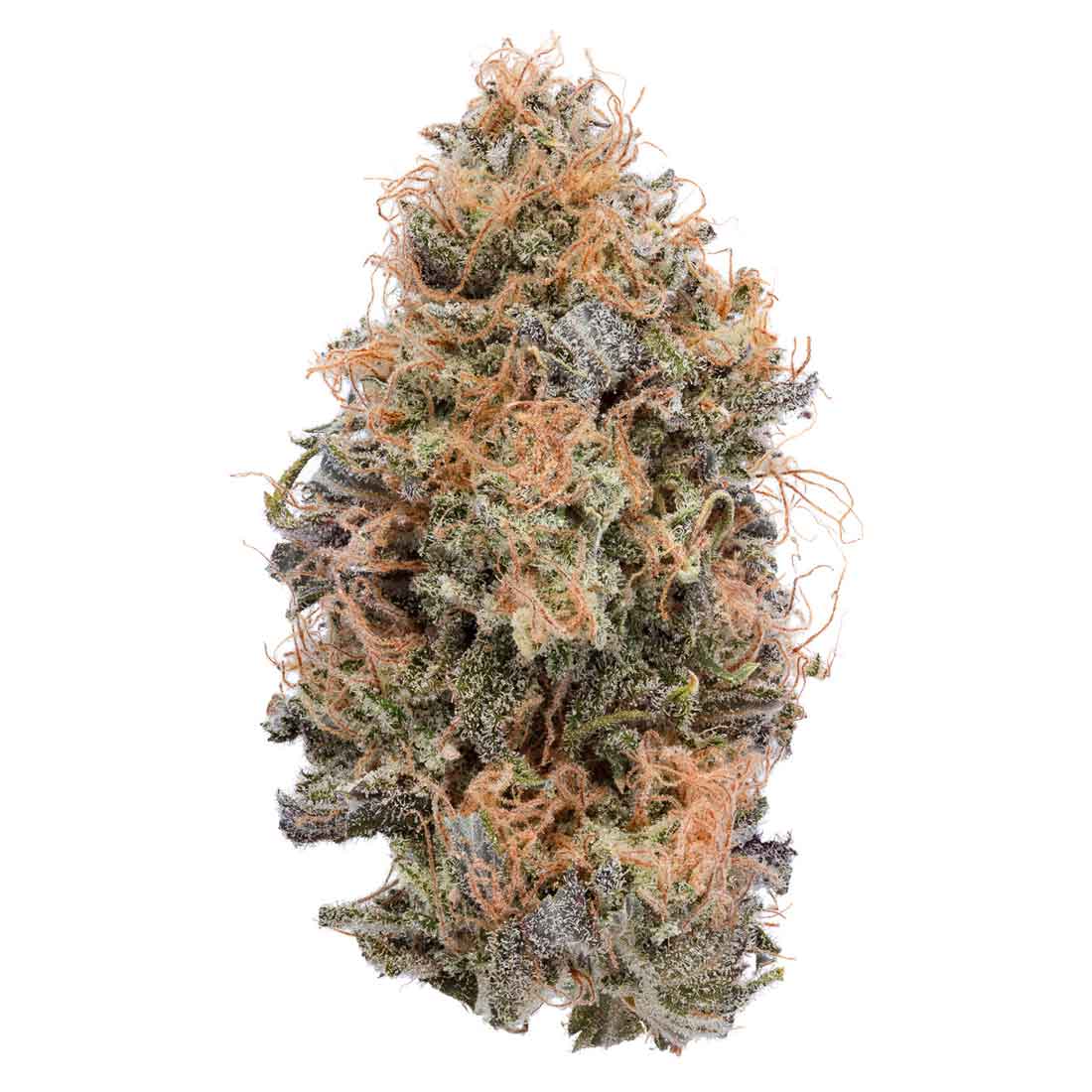 Akira Botanicals Blueberry Candy Flower