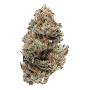 Akira Botanicals Cream and Sugar Flower