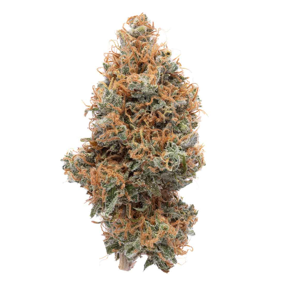 Akira Botanicals Sour Tropical Candy Flower
