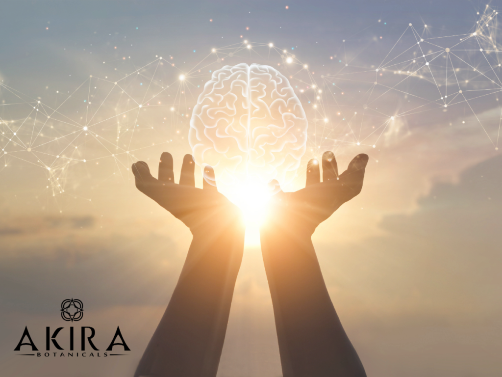 A brain in a set of hands looking towards the sky.