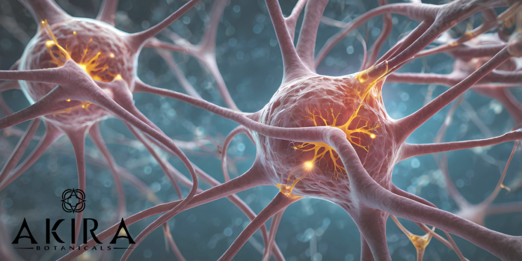 The image is receptors in the body. CBC works with the endocannabinoid and receptors in the body.