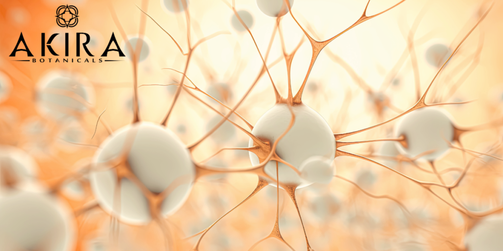neurons that may work with the focus tincture to boost your natural attention.