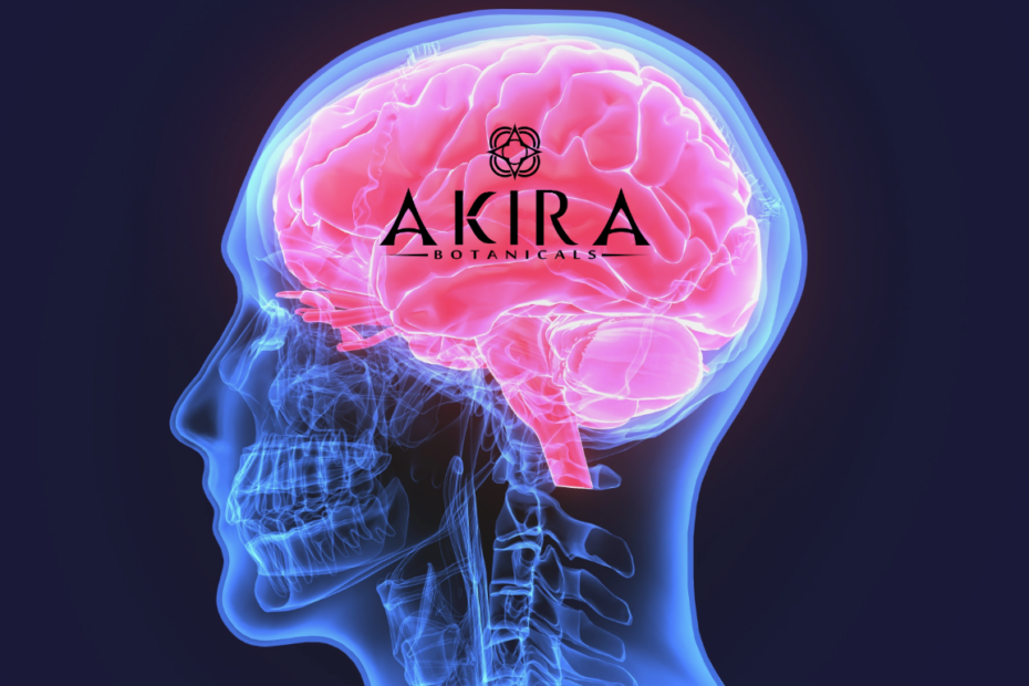 An X-Ray Image of a brain with the logo in the middle.