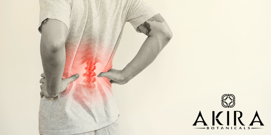 a man with back pain as outlined by the spin with redness.