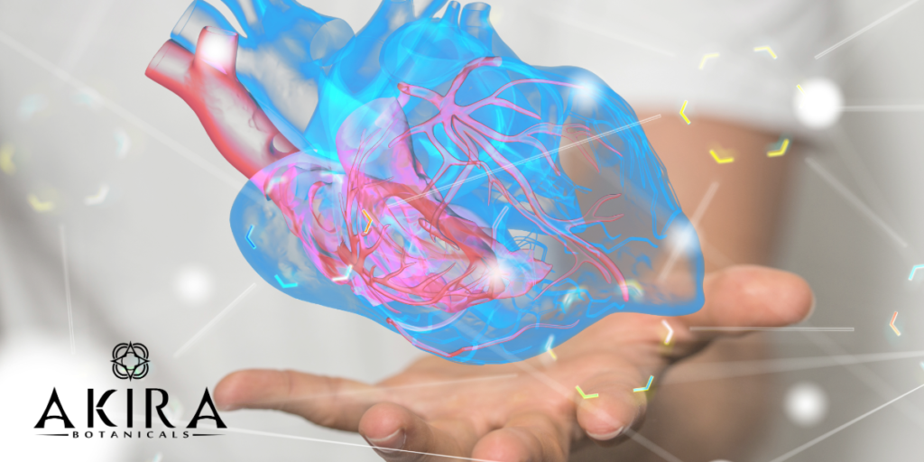A human heart image in a hand.