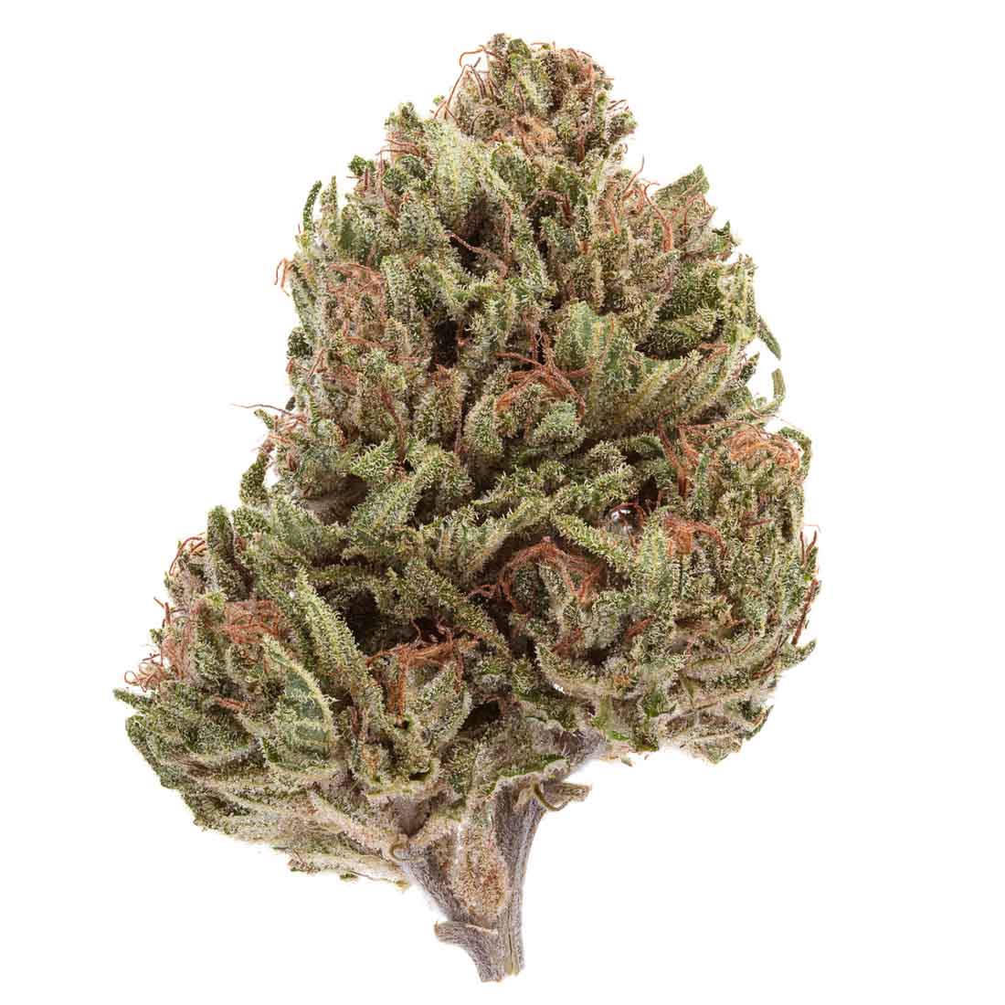 Akira Botanicals The Medicine Flower
