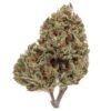 Akira Botanicals Chasing Durban Flower with stem