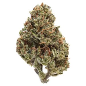 Akira Botanicals' Alien Candy Flower