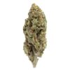 Akira Botanicals Rainbow Jack flower