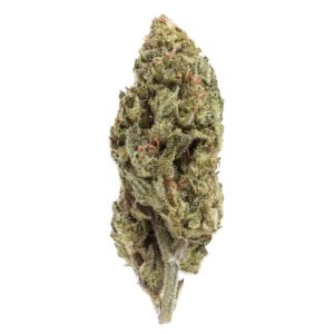 Akira Botanicals Rainbow Jack flower