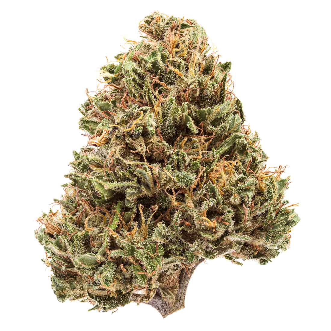 Akira Botanicals Lemon Octane Flower