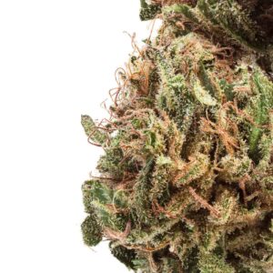 Akira Botanicals Monkey Burgers Flower close-up