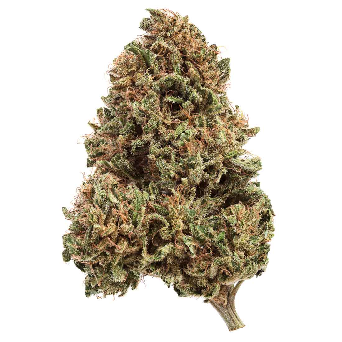 Akira Botanicals Monkey Burgers Flower