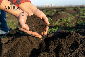 pure soil
