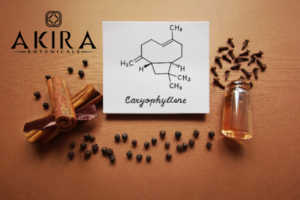 Terpenes are a vital part of full spectrum CBD oil.