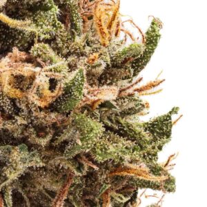 Akira Botanicals Blueberry CBD Flower close-up