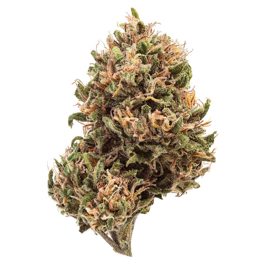 Akira Botanicals Blueberry CBD Flower