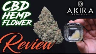 sarbazz-akira-review-320
